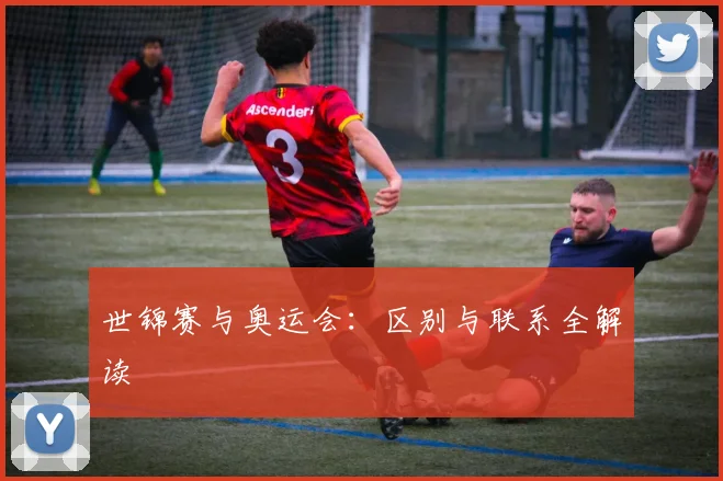 世锦赛与奥运会：区别与联系全解读