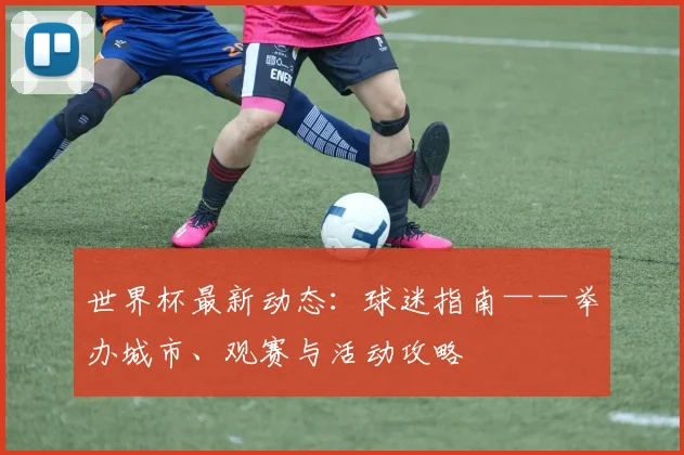 世界杯最新动态：球迷指南——举办城市、观赛与活动攻略