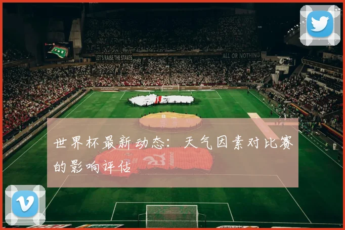 世界杯最新动态：天气因素对比赛的影响评估